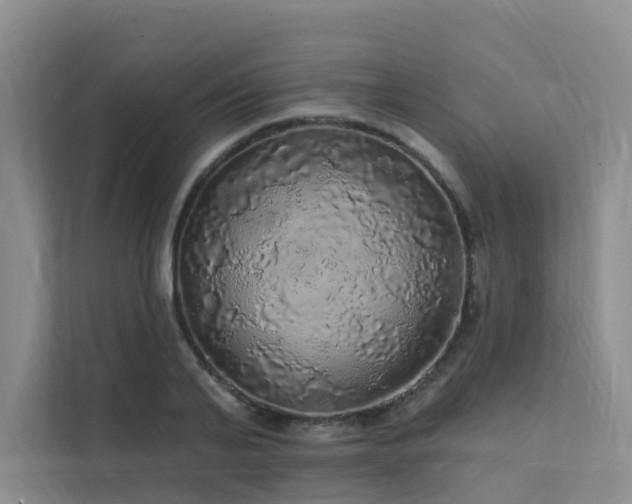 X0000112160791200908071137
