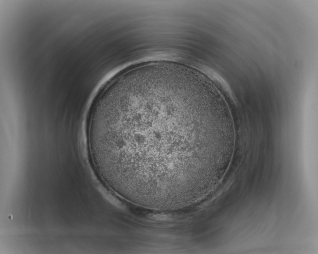 X0000112160792200908071137