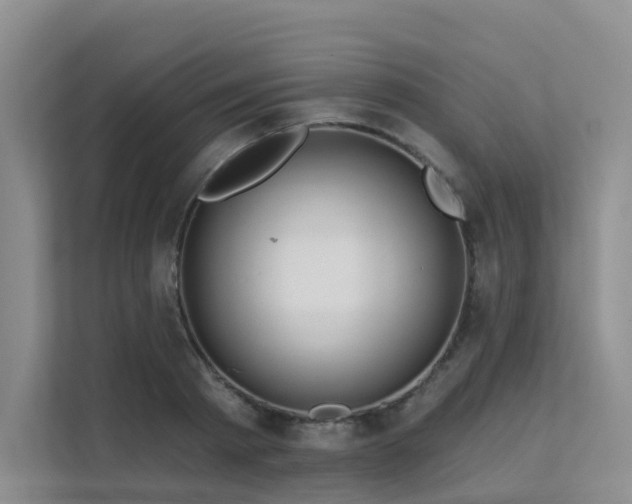 X0000112160793200908071137