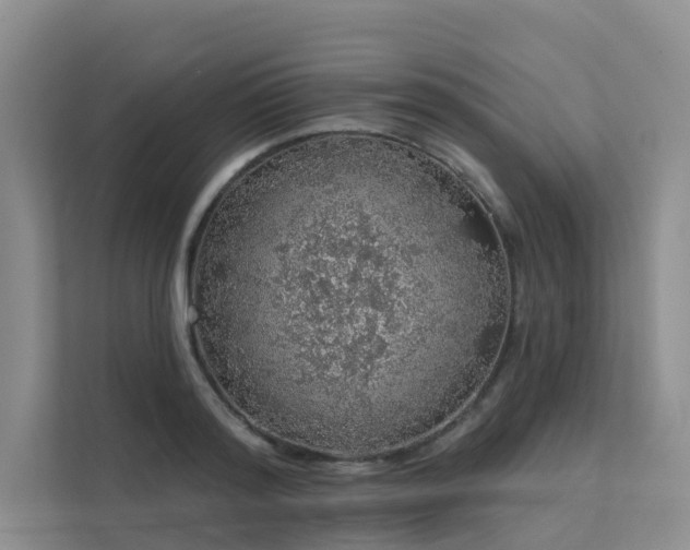 X0000112160796200908071137