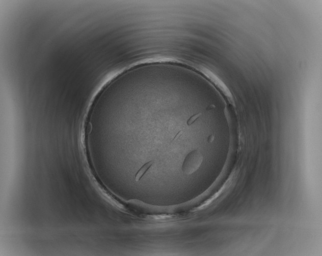 X0000112160797200908071137