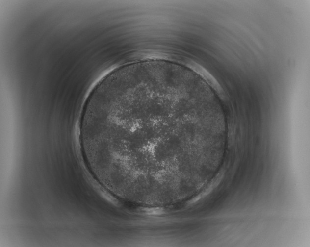 X0000112160798200908071137
