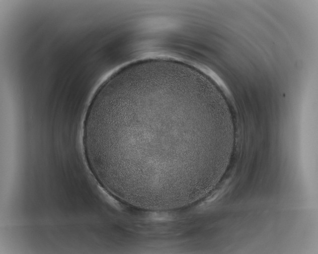 X0000112160799200908071137