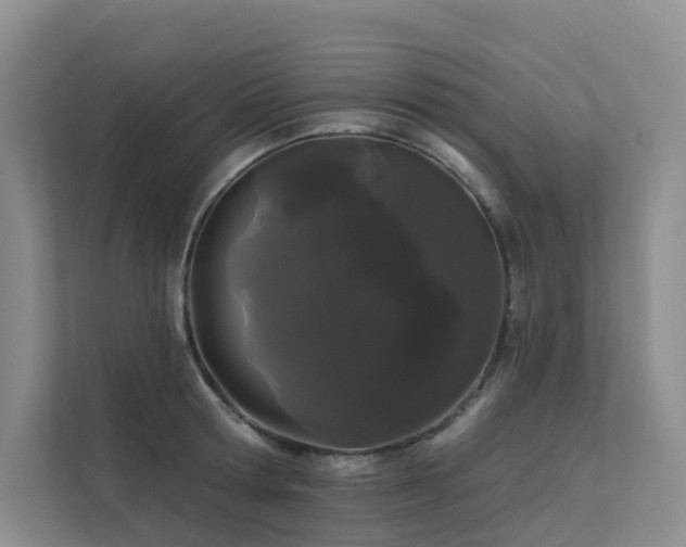 X0000112160802200908071137