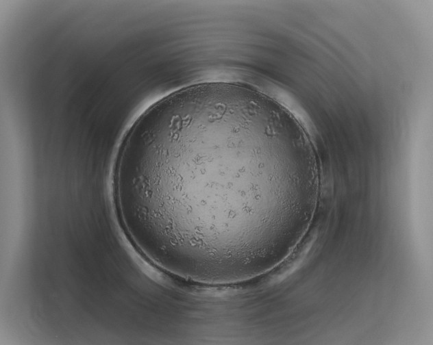 X0000112160803200908071137