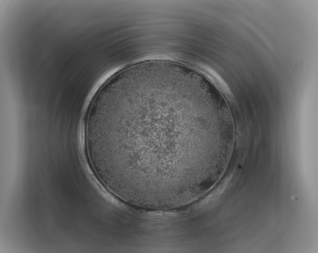 X0000112160804200908071137