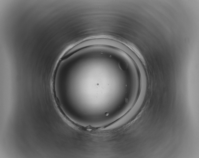 X0000112160805200908071137