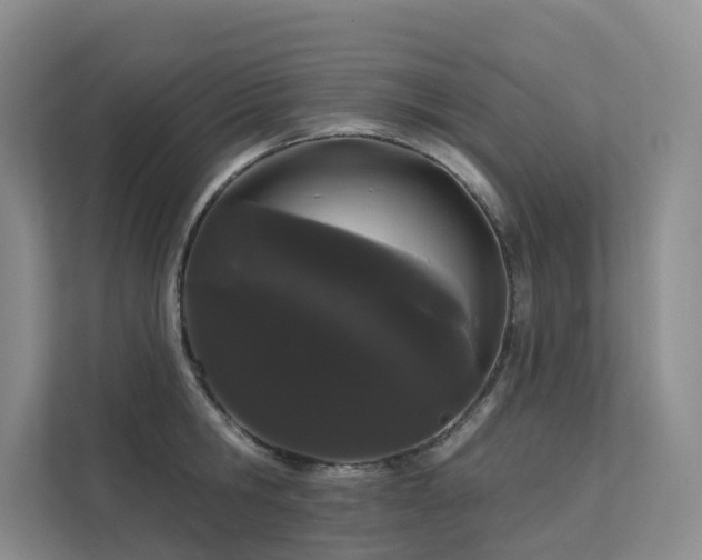 X0000112160806200908071137