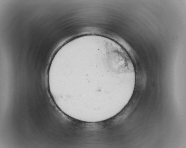 X0000112160807200908071137