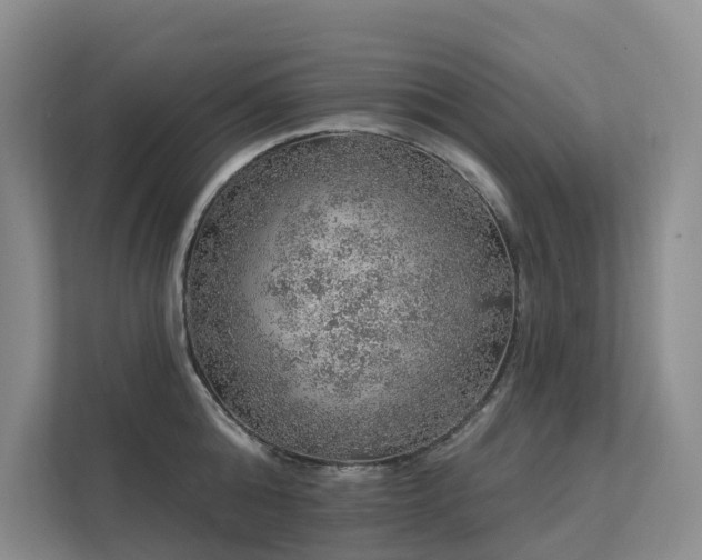 X0000112160808200908071137