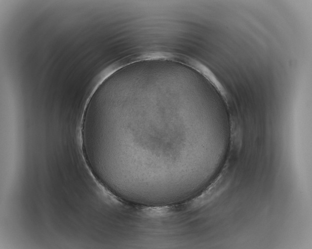 X0000112160810200908071137
