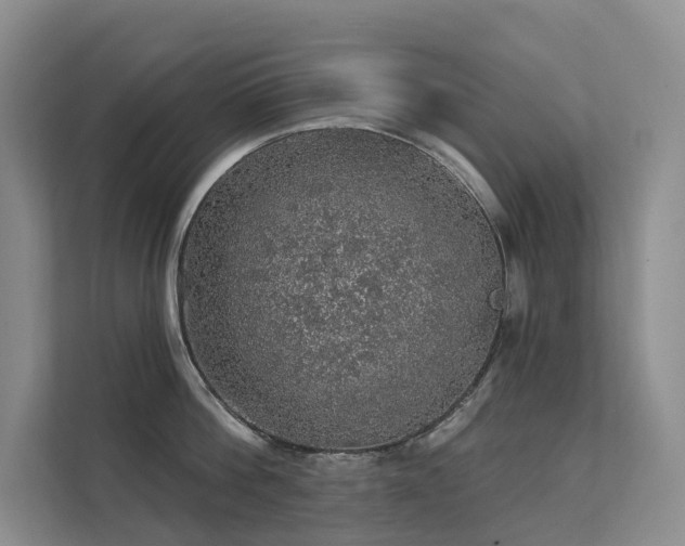 X0000112160812200908071137
