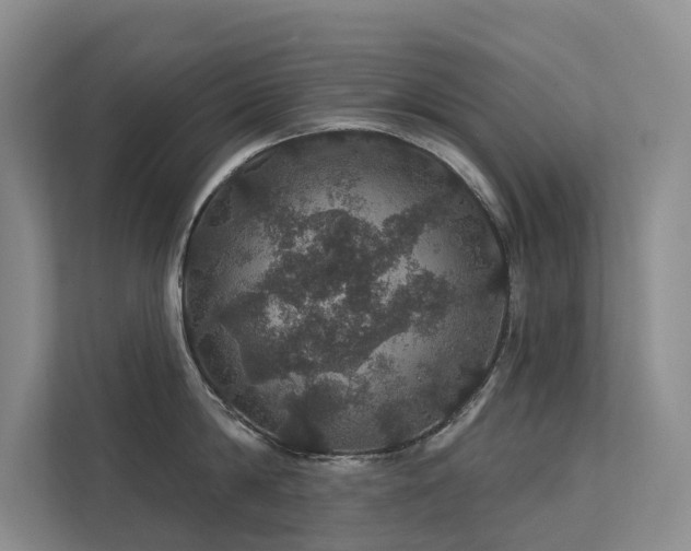 X0000112160814200908071137