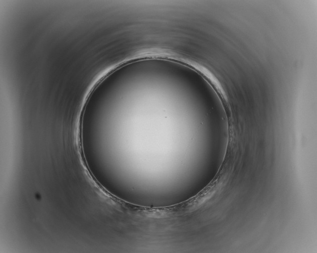 X0000112160815200908071137