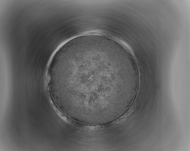 X0000112160816200908071137