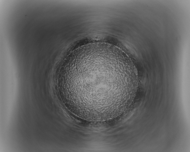 X0000112160817200908071136