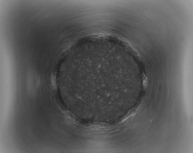 X0000112160819200908071136