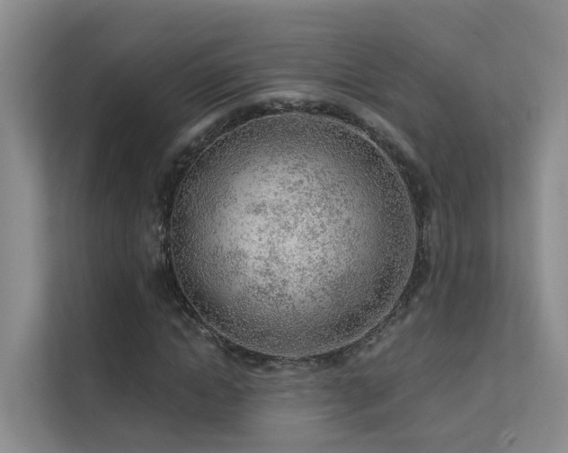 X0000112160822200908071136