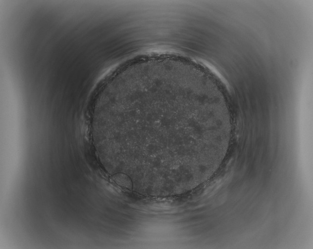 X0000112160823200908071136