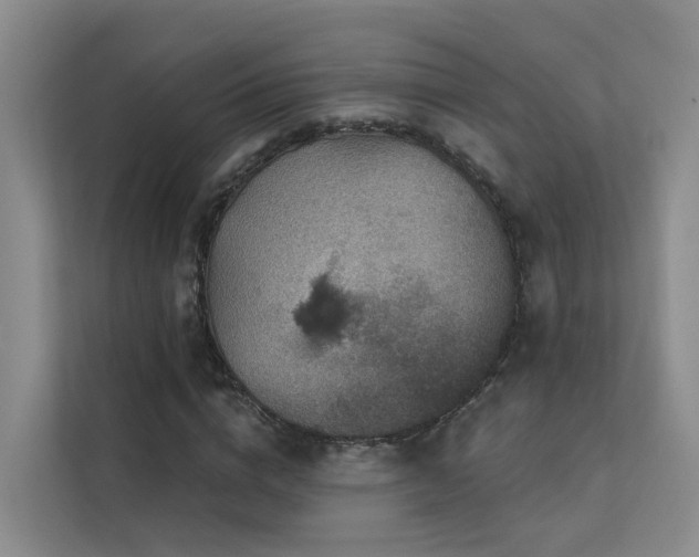 X0000112160824200908071136