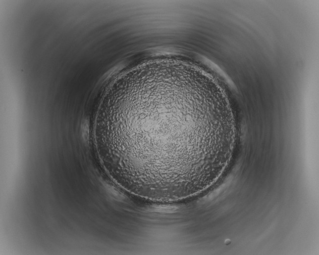 X0000112160825200908071136