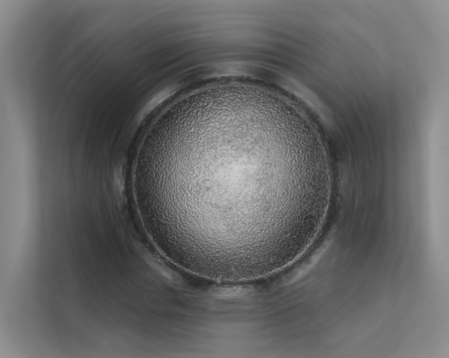 X0000112160826200908071136