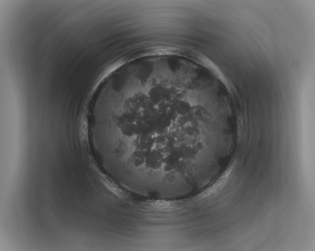 X0000112160827200908071136