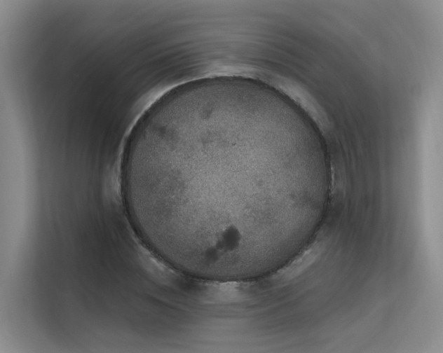 X0000112160828200908071136