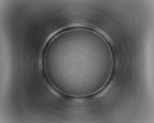 X0000112160830200908071136