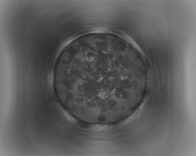 X0000112160831200908071136