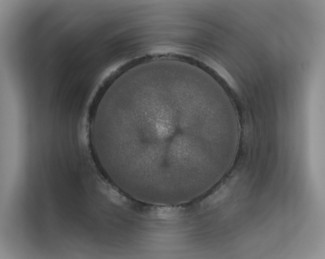 X0000112160832200908071136