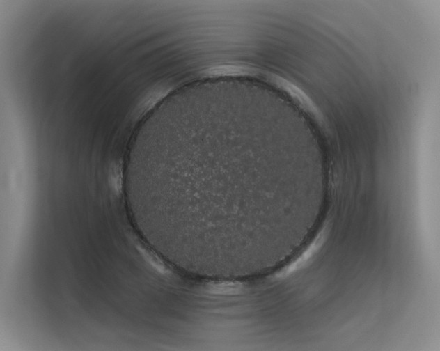 X0000112160833200908071136