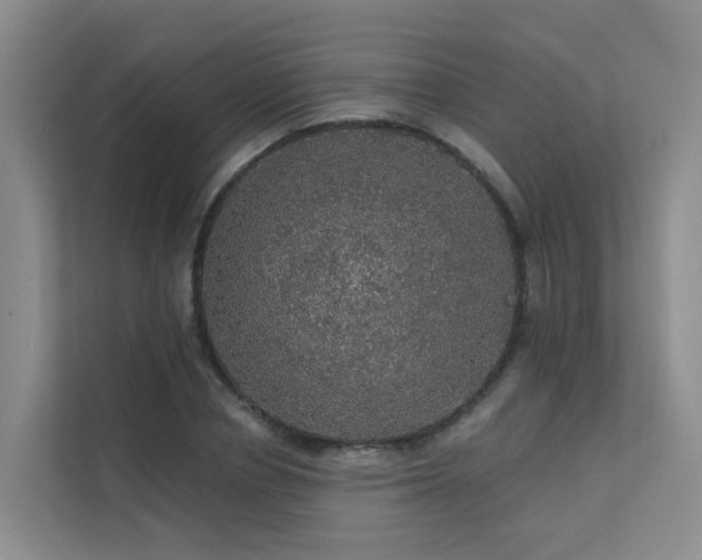 X0000112160834200908071136