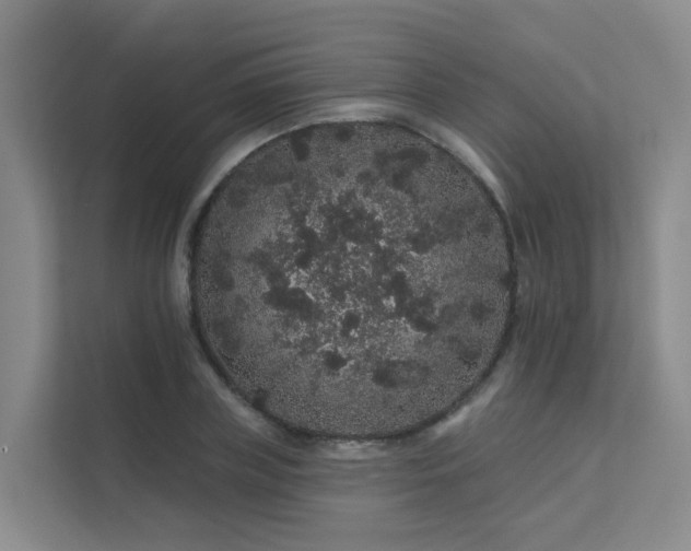 X0000112160835200908071136