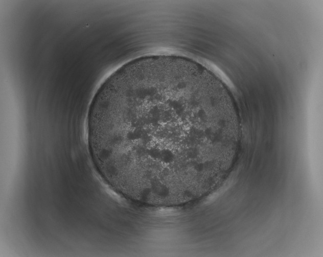 X0000112160839200908071136