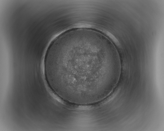 X0000112160840200908071136