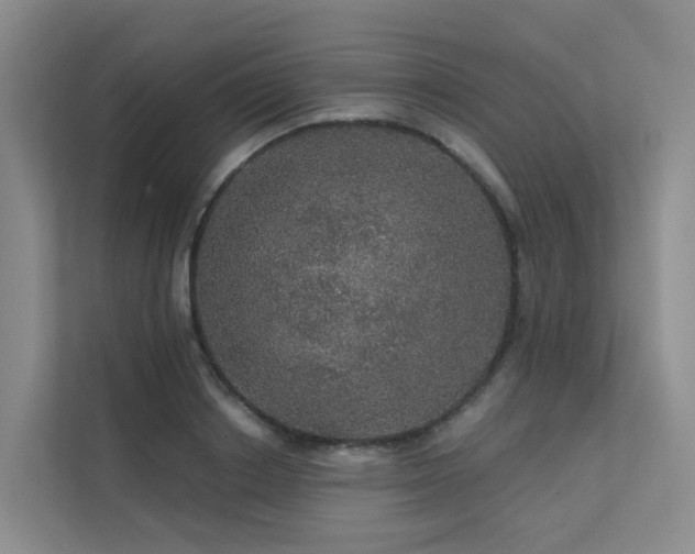 X0000112160842200908071136