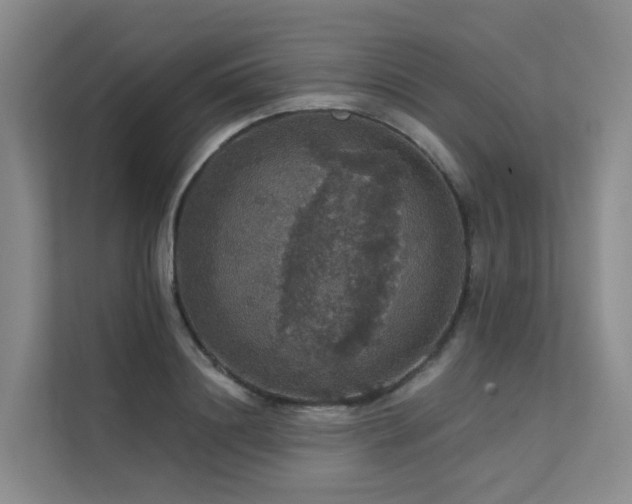 X0000112160844200908071136