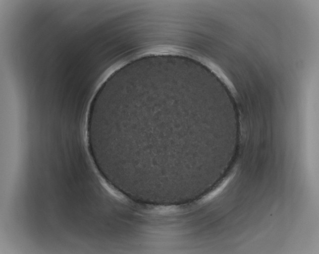 X0000112160845200908071136