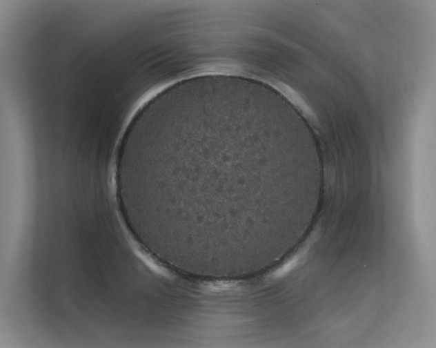 X0000112160846200908071136