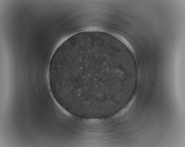 X0000112160847200908071136