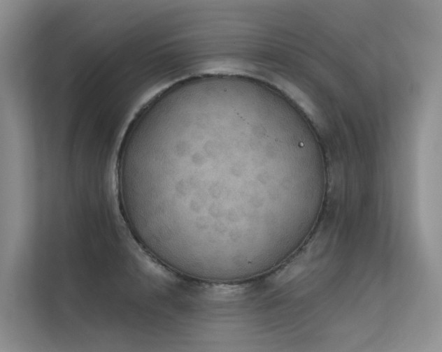 X0000112160848200908071136