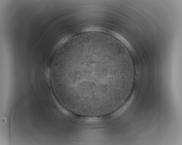X0000112160849200908071136