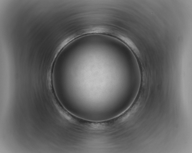 X0000112160850200908071136