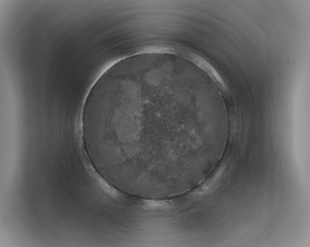 X0000112160852200908071137
