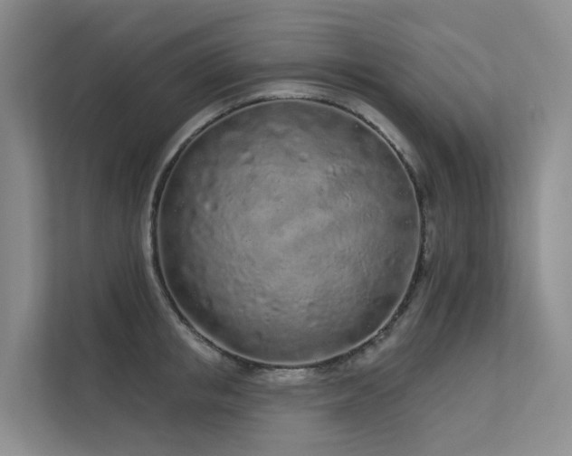 X0000112160853200908071137