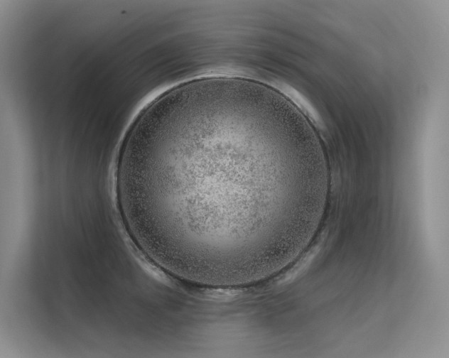 X0000112160854200908071137
