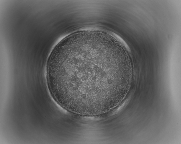 X0000112160855200908071137