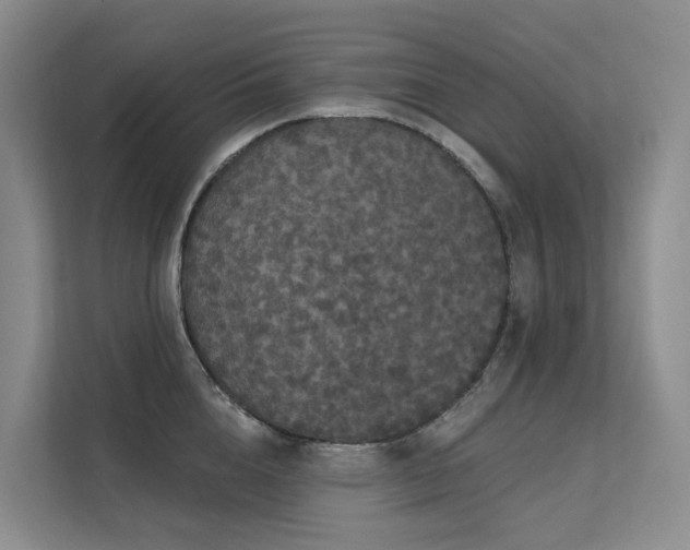 X0000112160856200908071137
