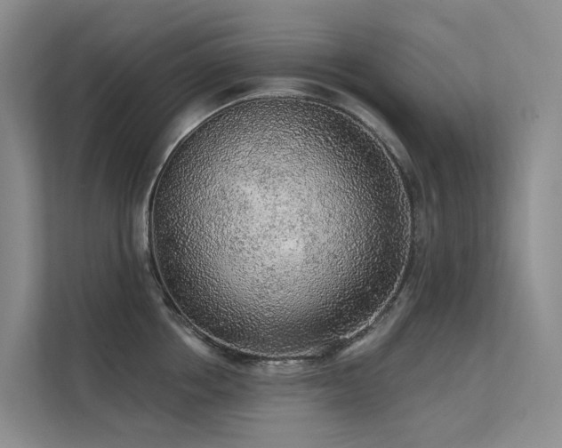 X0000112160858200908071137